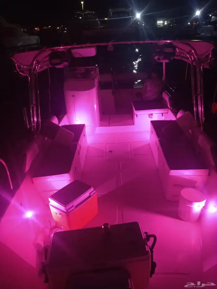 Cruises of all kinds 1