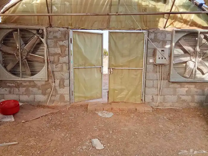 بيت محمي للبيع 1
