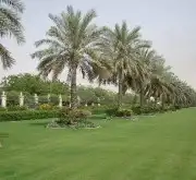 تيل طبيعي 0