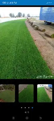 تيل طبيعي 4