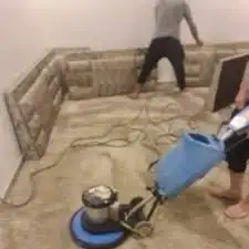 تنظيف كنب مكافحه حشرات تنظيف مجالس تنظيف شقق تنظيف فلل 1