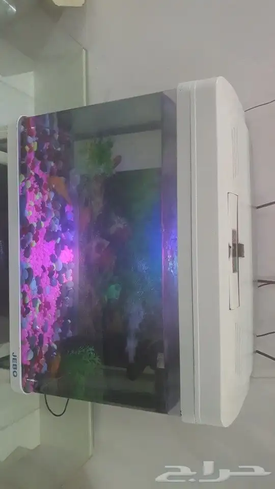 حوض سمك 0