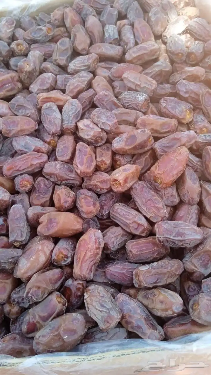 تمور 3