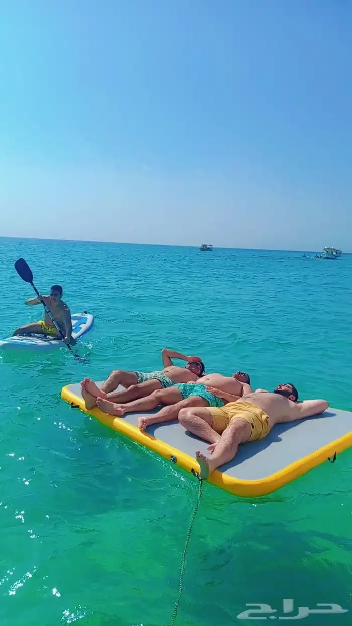 Cruises of all kinds 9