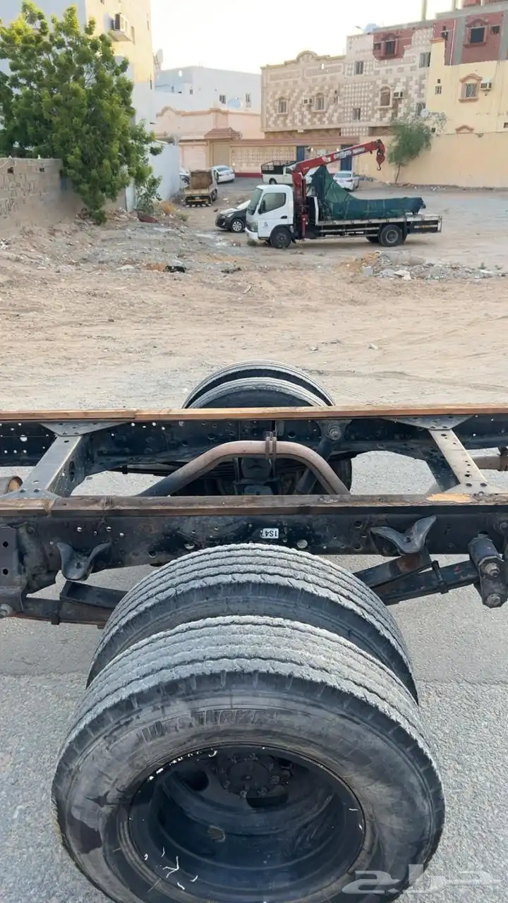دينا ايسوزو 2008 0
