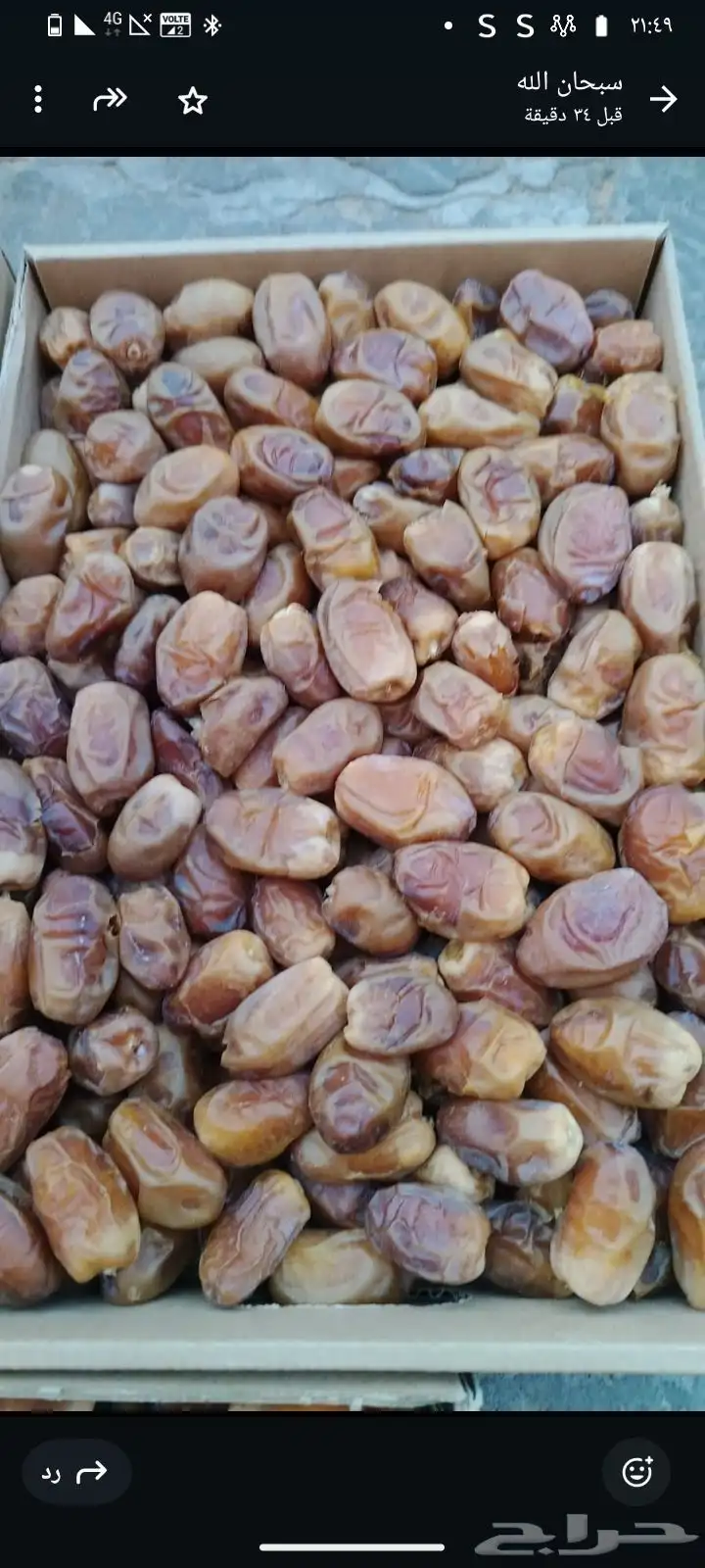 صقعي طيب واسعار اطيب 1