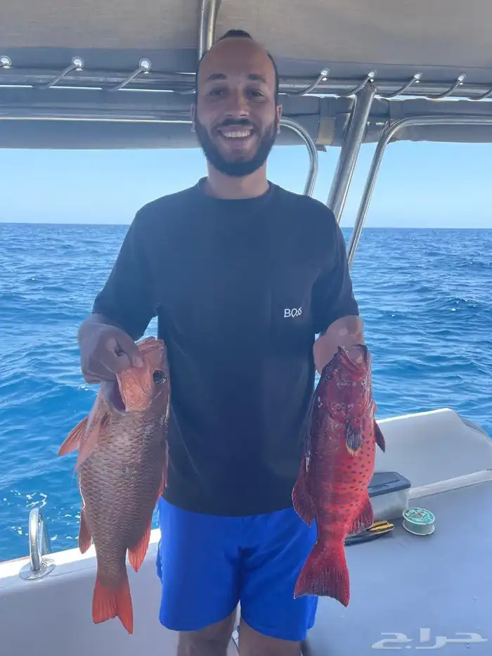 Cruises of all kinds 2