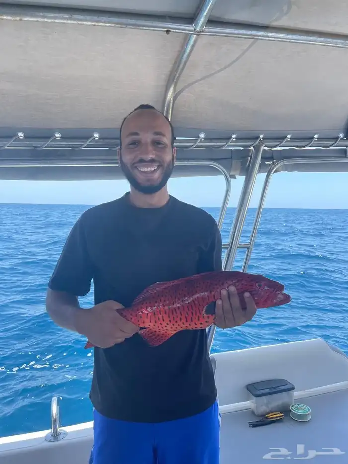 Cruises of all kinds 4