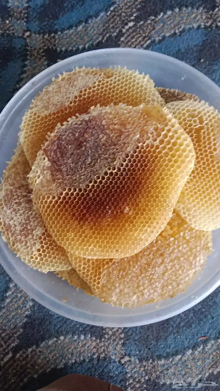 عسل طلحة 0