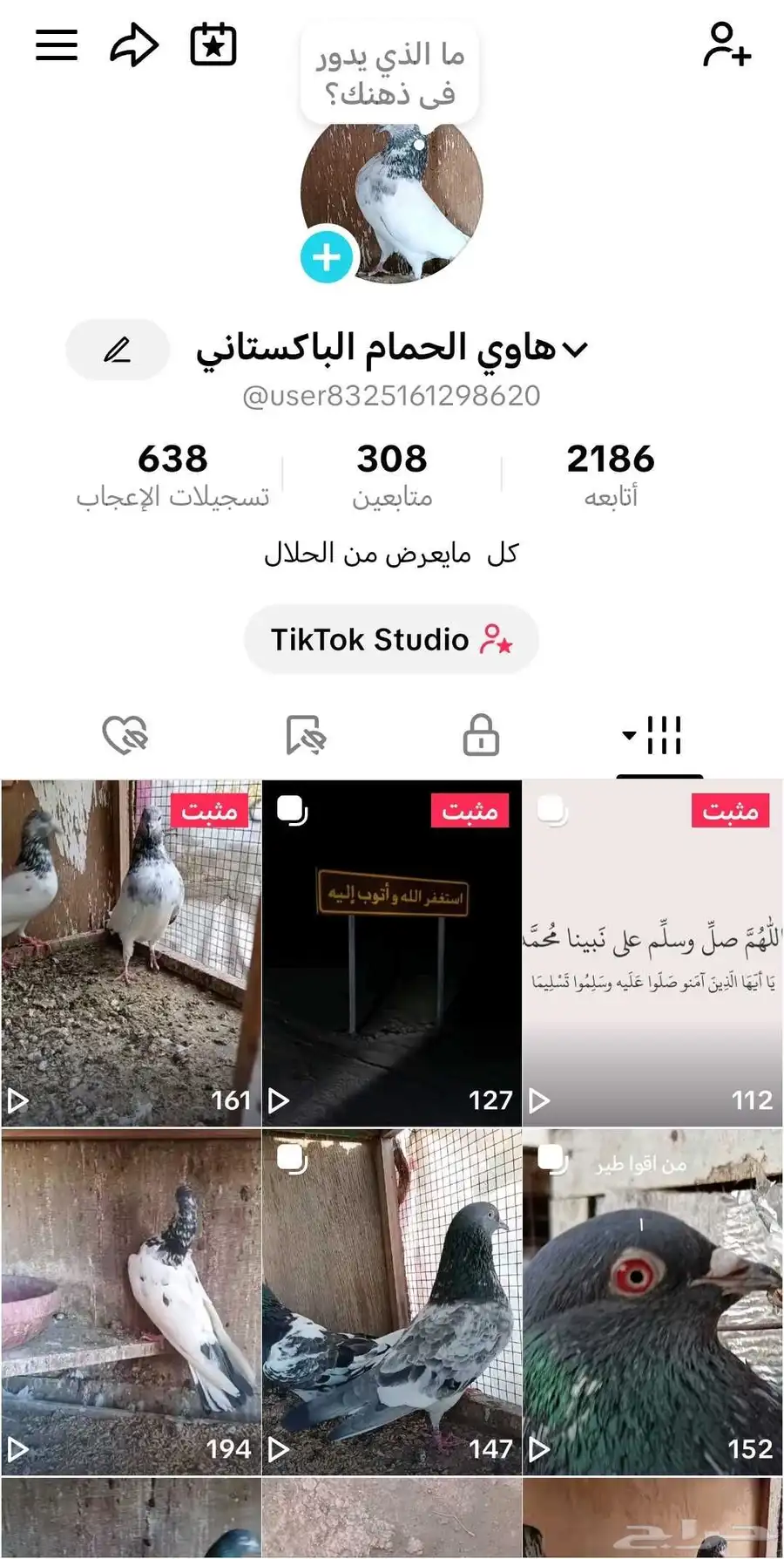 حمام باكستاني جوز تيدي 2