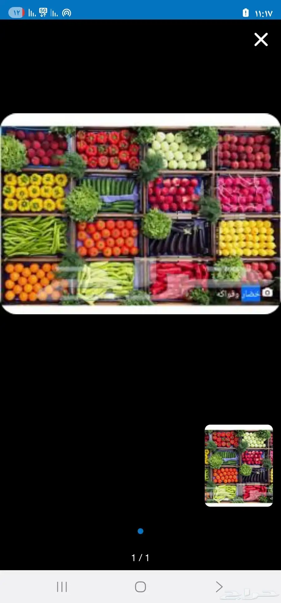 مطلوب محل خضار وفواكه 0