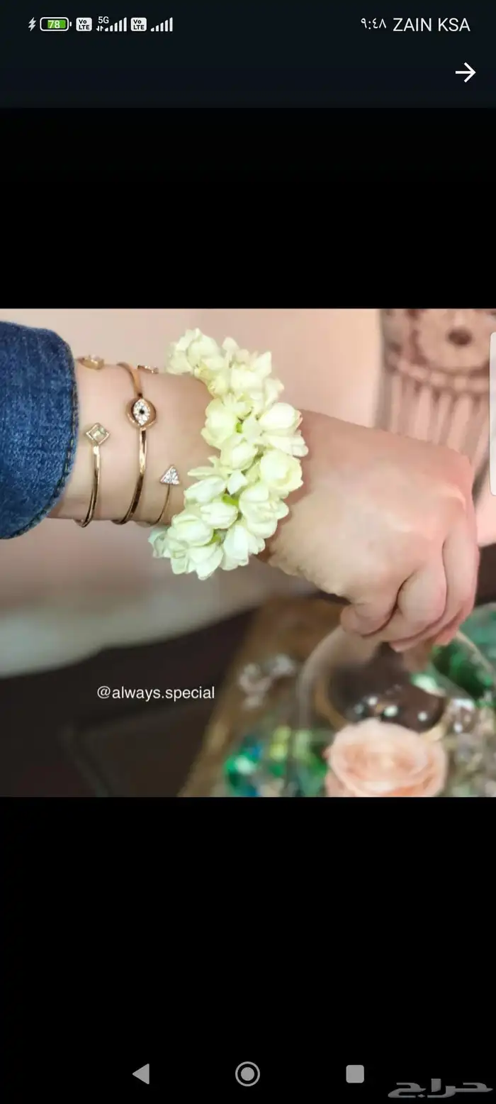 فل بلدي ورد خطور 26