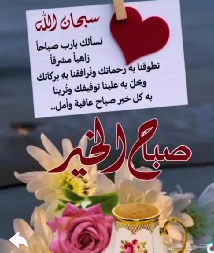 شفاط مطبخ 60 نظيف جدا 0