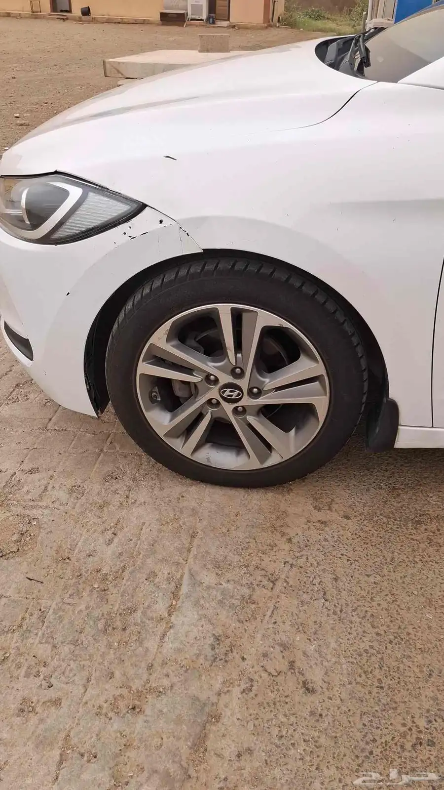 النترا 2017 9
