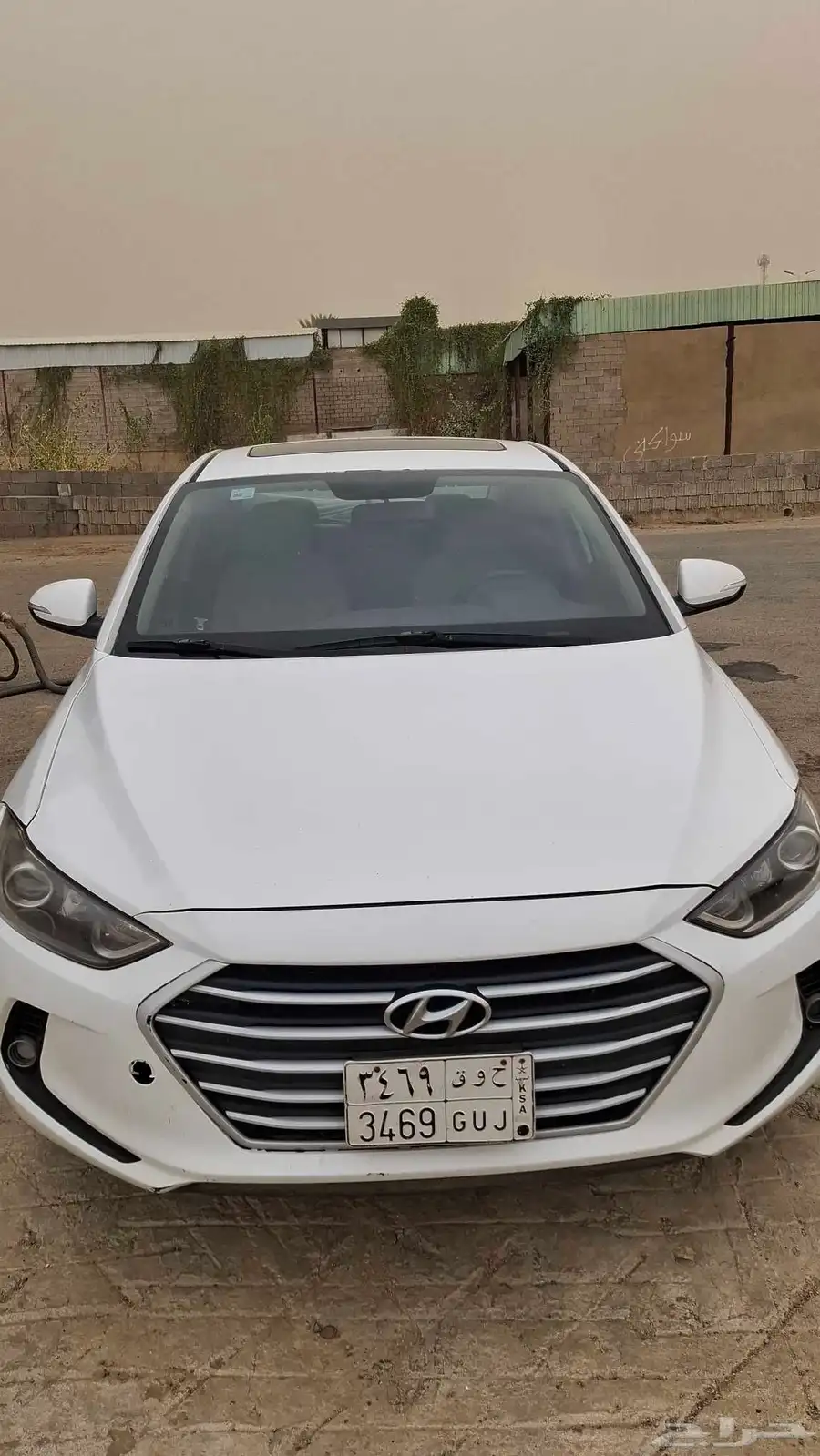 النترا 2017 10