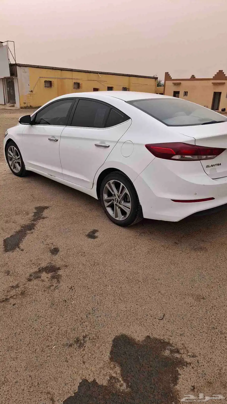 النترا 2017 7
