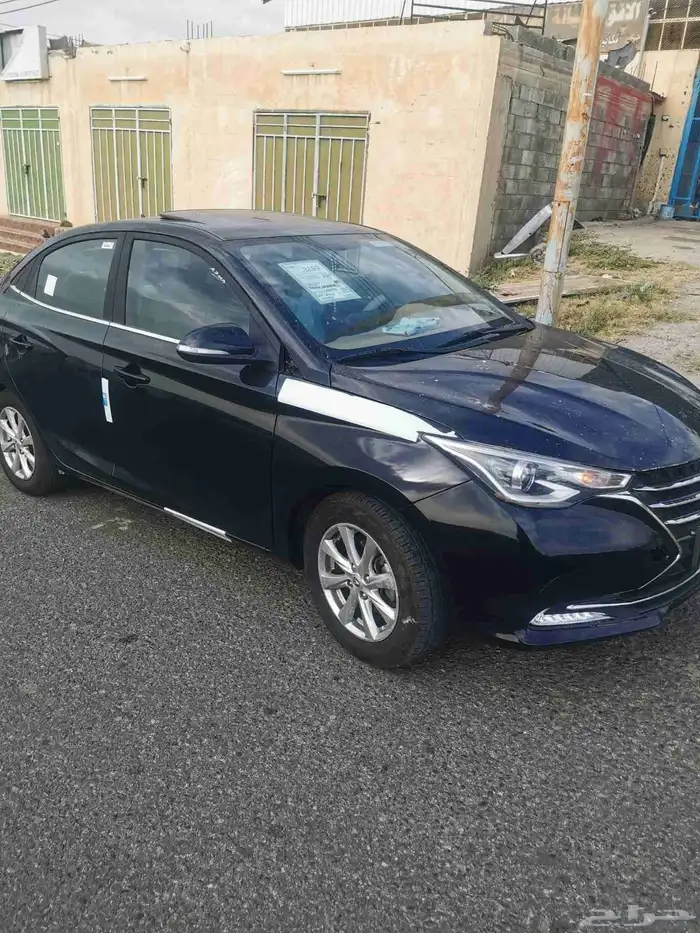 شنجان 2024 0