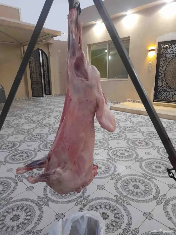 معلم مشويات سوريه عراقيه في الرياض 3