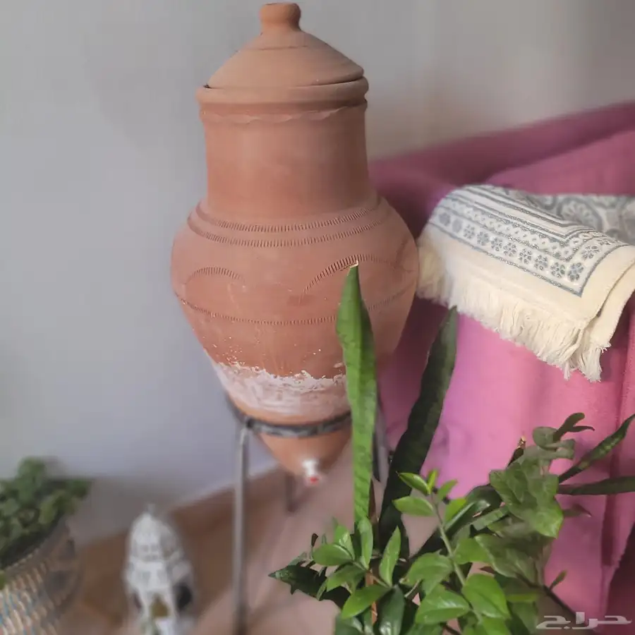 اثاث بحالة ممتازة ..نباتات داخلية وخارجية 0