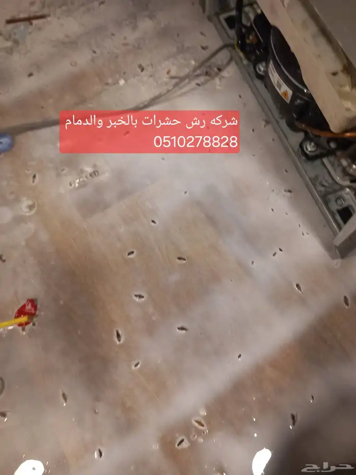 شركة تنظيف منازل تنظيف شقق تنظيف مجالس موكت بالدمام والخبر 8