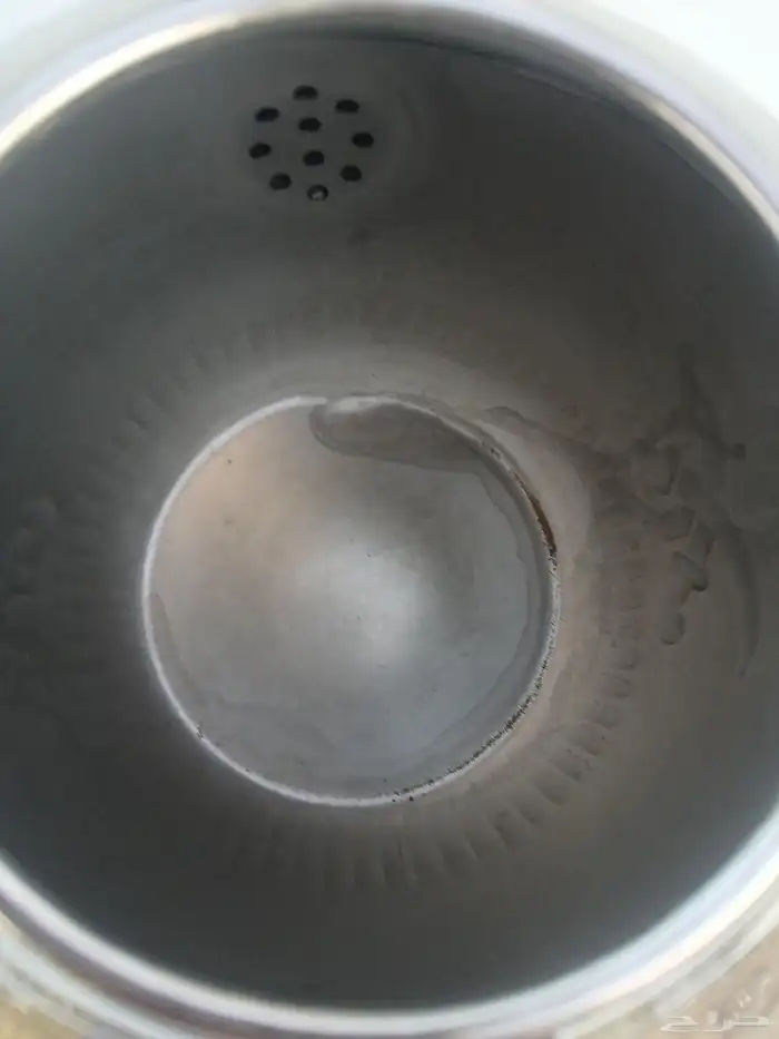 بريق بوسيفين ونخله ياباني 9