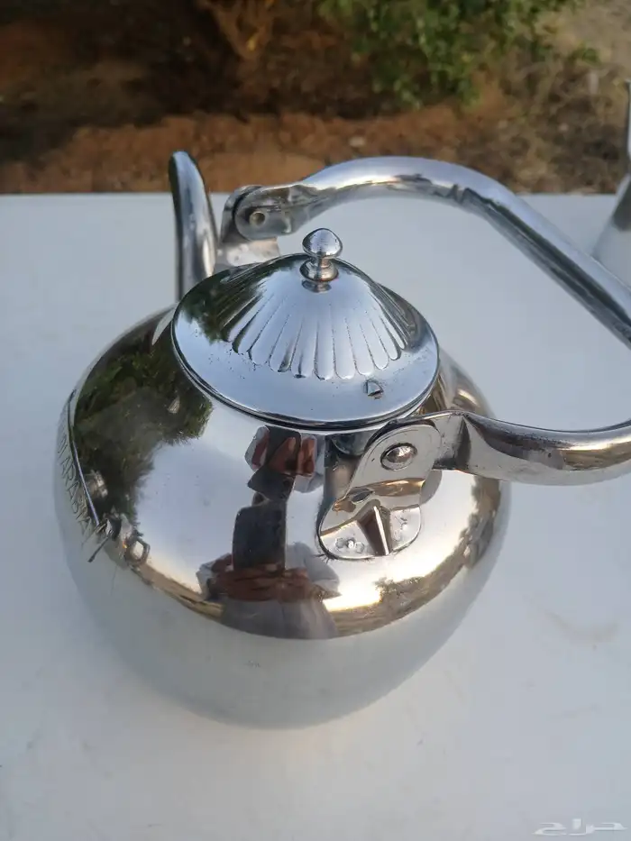 بريق بوسيفين ونخله ياباني 3