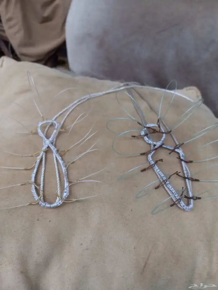 شبك لطرح الصقور 1