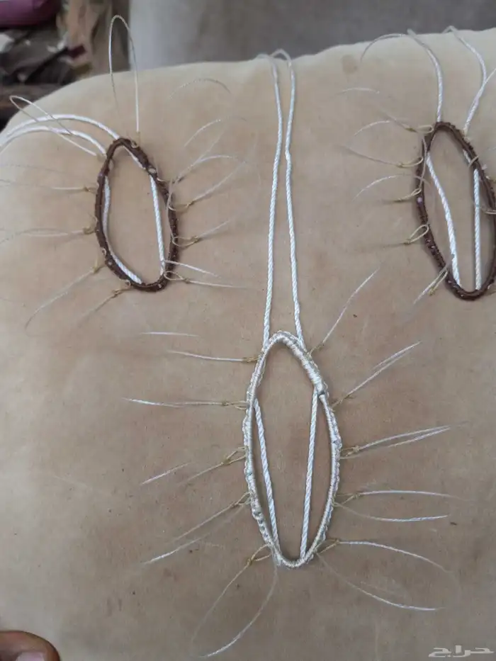 شبك لطرح الصقور 3