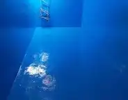 شركة تنظيف 0