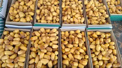 رطب غر 8ريال رطب خلاص 9ريال مبيعات جملة 1