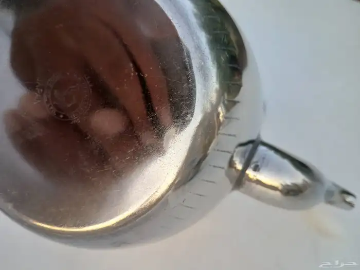 بريق بوسيفين ونخله ياباني 7