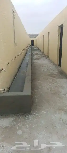 كمباوند سكني للعمال 1