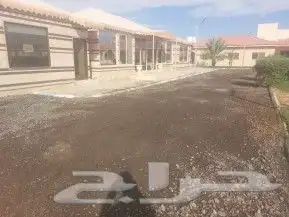 زفلتة حار وبار مبشور وقشط أسعار طيبة يامرحبا 1