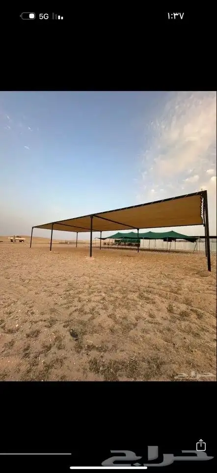 مضلات الأبل المييزة 8