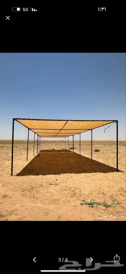 مضلات الأبل المييزة 4