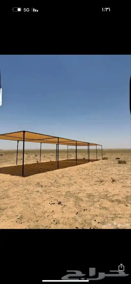 مضلات الأبل المييزة 2