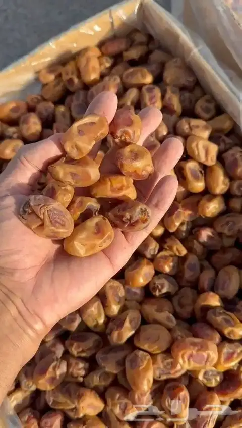 100طن اخلاص 0