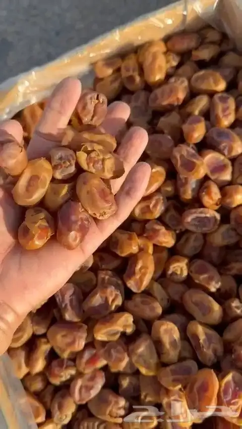 100طن اخلاص 1