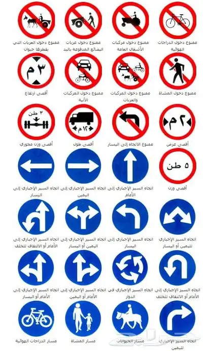 تعليم قيادة السيارات VIP 6