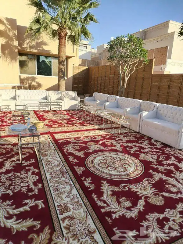 تاجير كنب 1