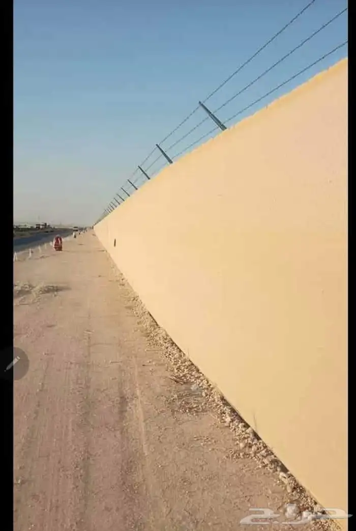 شبوك ونخيل 5