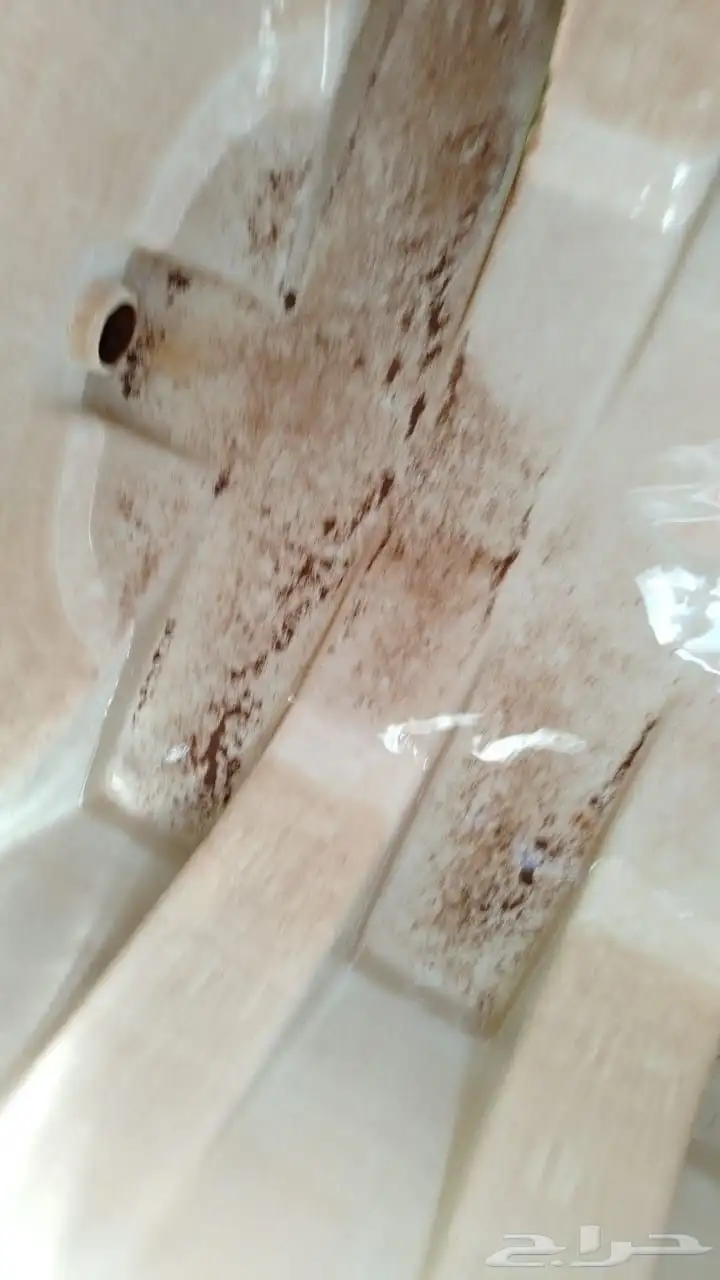 شركة تنظيف 12