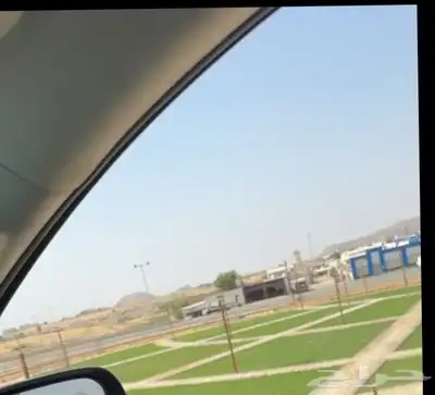انجيله طبيعي عشب ثيل سي الفين جيزان مزروع طبيعي صبيا جيزان 6