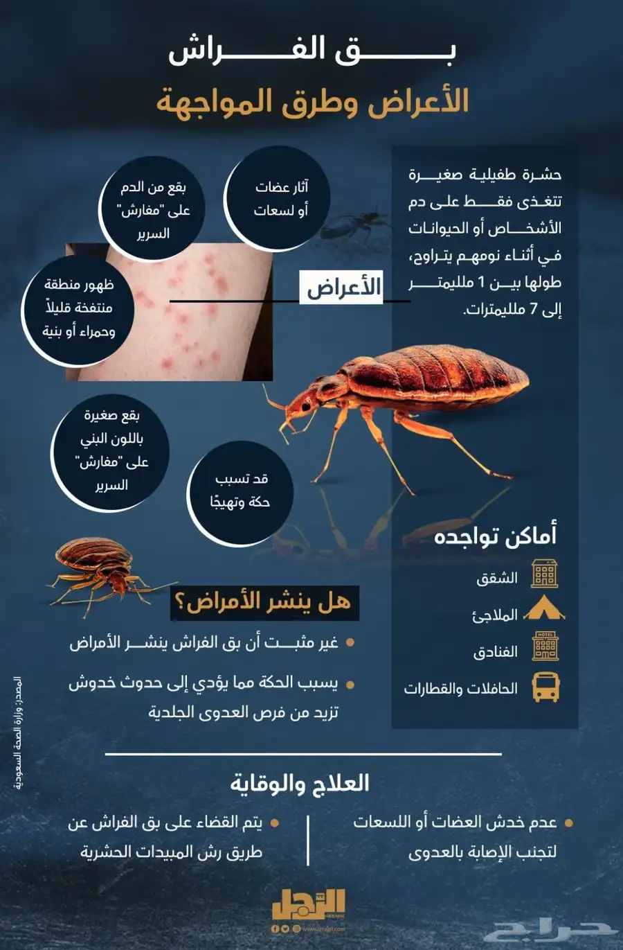 شركه مكافحه حشرات بمكه رش الصراصير 0