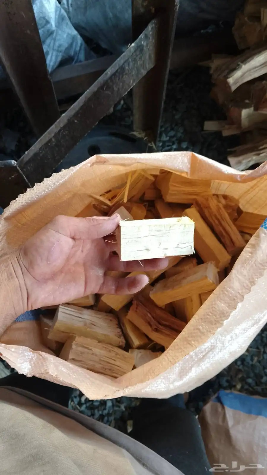 طلح بخور 1