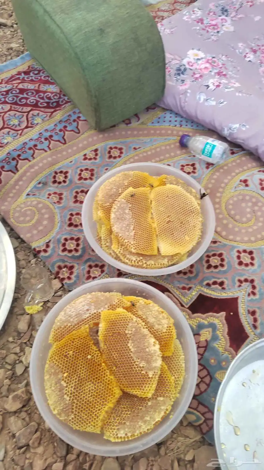 عسل شمع طيب قرض مع طلح 0