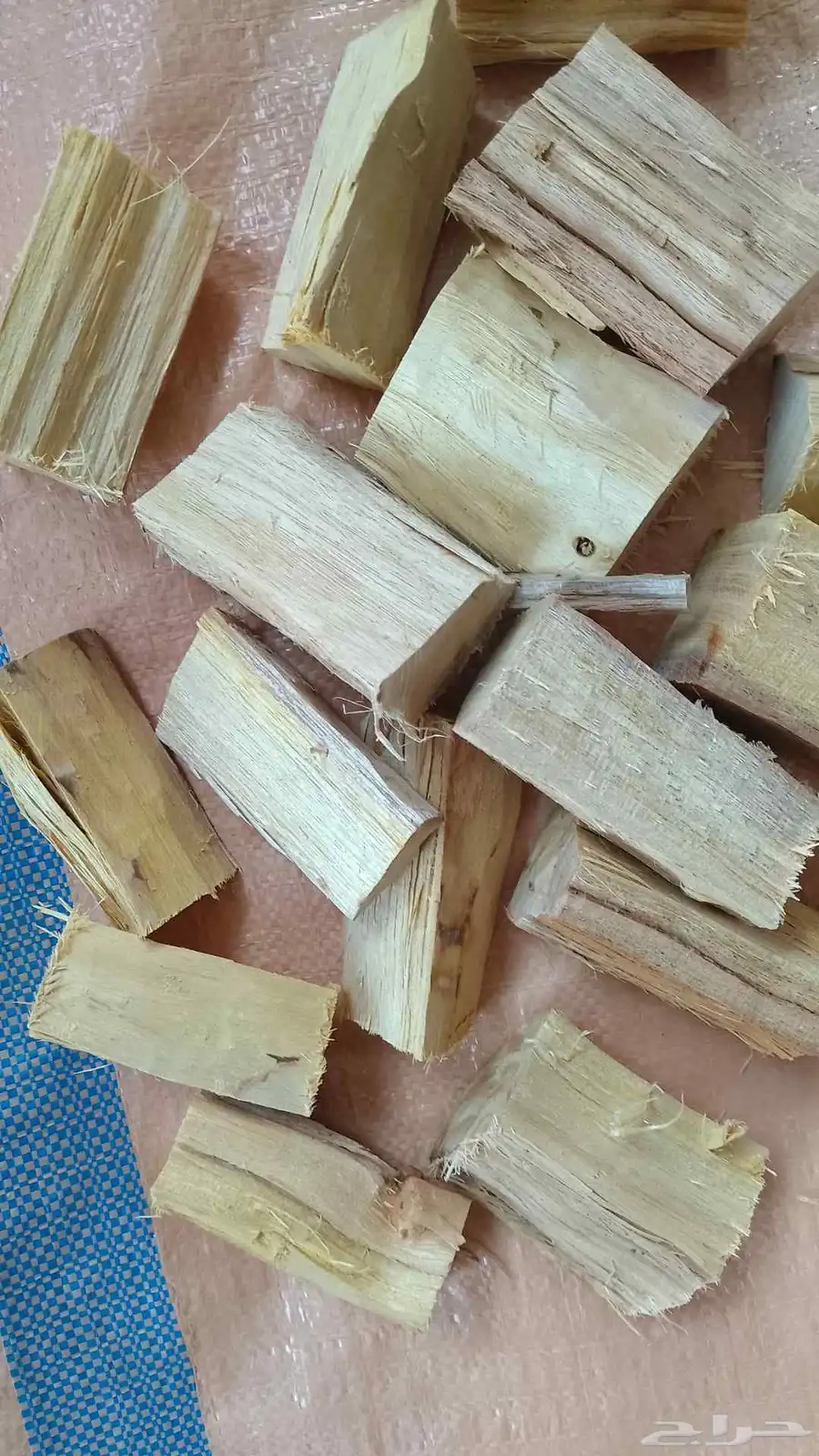 طلح بخور 0