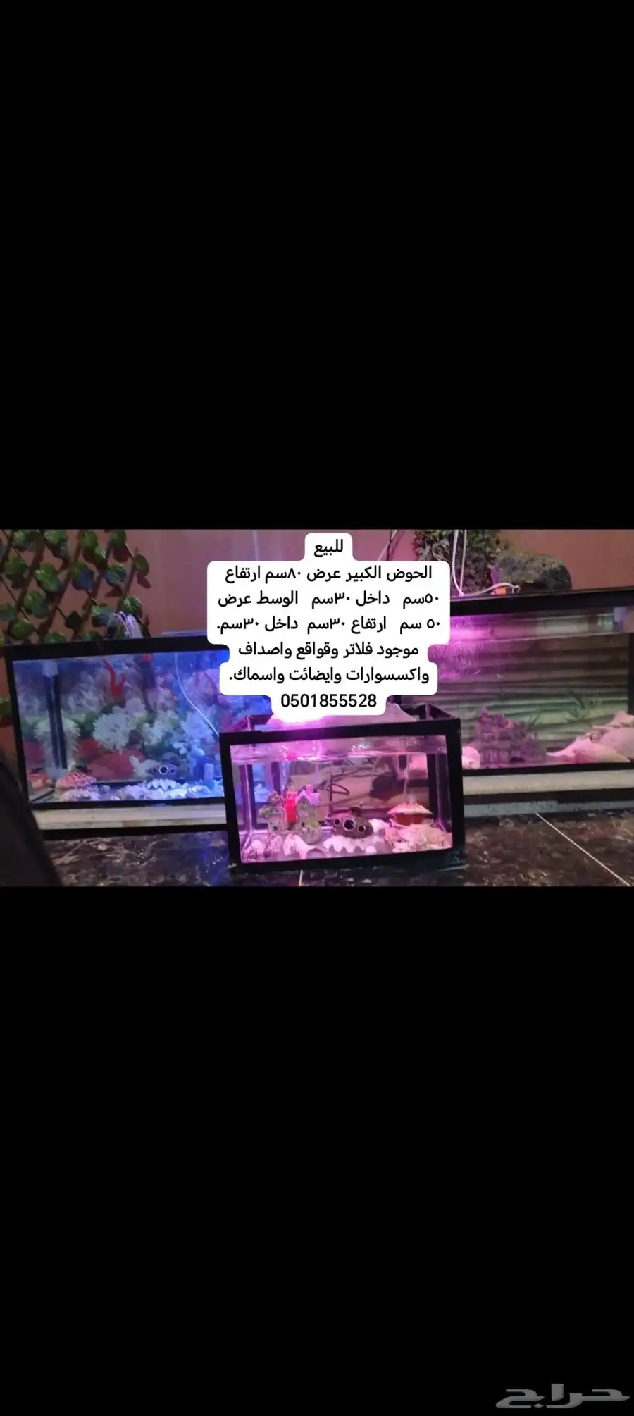 طيور واحواض اسماك. وخيمه المكشات 4
