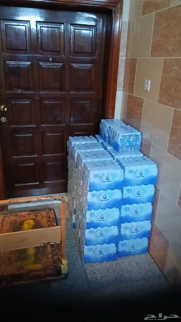 مياه رفا المدينة المنورة 5