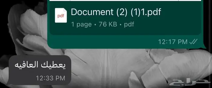 ترجمة معتمدة 7